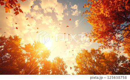 秋の紅葉と空の風景 125638758