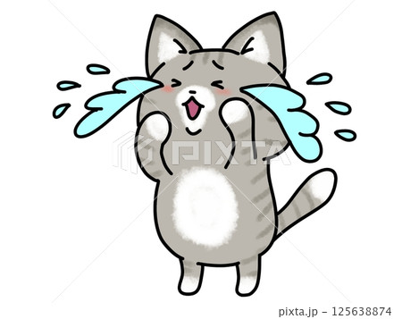 大泣きするネコちゃん 125638874