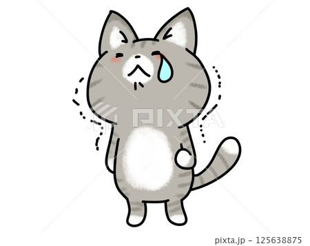 震えながら泣く猫ちゃん 震えながら泣く猫ちゃん 125638875