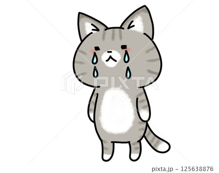 ハラハラと泣く猫ちゃん 125638876