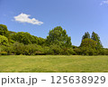 青空と公園 125638929