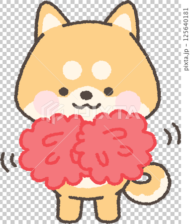 一隻棕色的柴犬拿著絨球歡呼 125640181