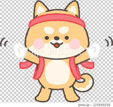 たすきとハチマキをした応援団の茶色の柴犬 125640258