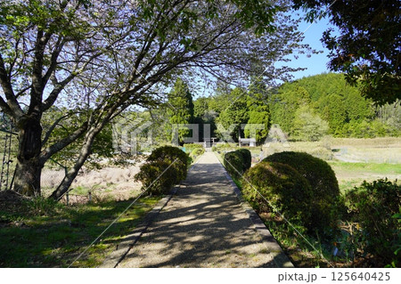 春日宮天皇陵春の道 春日宮天皇陵春の道 125640425