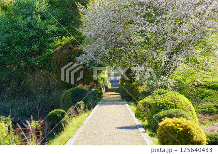 春日宮天皇陵への春の道 春日宮天皇陵への春の道 125640433