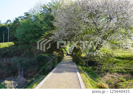 春日宮天皇陵への春の道 春日宮天皇陵への春の道 125640435