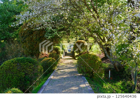 春日宮天皇陵への春の道 春日宮天皇陵への春の道 125640436