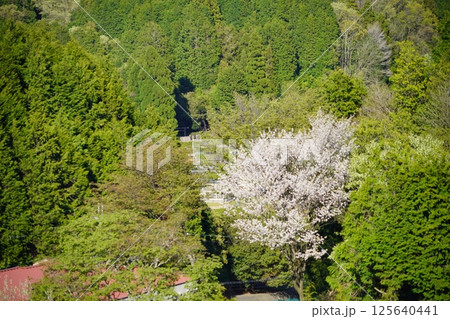 奈良県ヘリポートの高台から見える春日宮天皇陵 奈良県ヘリポートの高台から見える春日宮天皇陵 125640441