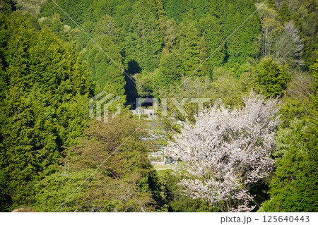 奈良県ヘリポートの高台から見える春日宮天皇陵 奈良県ヘリポートの高台から見える春日宮天皇陵 125640443