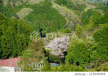 奈良県ヘリポートの高台から見える春日宮天皇陵 奈良県ヘリポートの高台から見える春日宮天皇陵 125640444