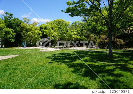 新緑の木漏れ日の公園 125640571