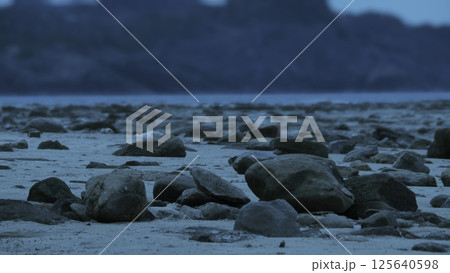 まるで月面探索!島根石見畳ヶ浦 まるで月面探索!島根石見畳ヶ浦 125640598