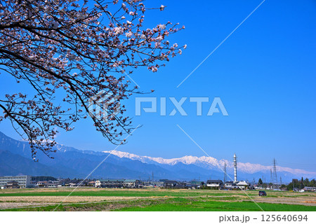 《長野県》春の安曇野市　拾ヶ堰・じてんしゃひろばの桜と北アルプス 125640694