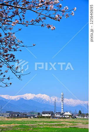 《長野県》春の安曇野市　拾ヶ堰・じてんしゃひろばの桜と北アルプス 125640695