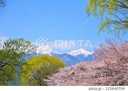 《長野県》春の安曇野市 拾ヶ堰・じてんしゃひろばの桜と北アルプス常念岳 《長野県》春の安曇野市 拾ヶ堰・じてんしゃひろばの桜と北アルプス常念岳 125640704