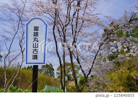 富雄丸山古墳・桜と案内標識 富雄丸山古墳・桜と案内標識 125640855