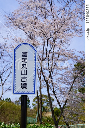 富雄丸山古墳・桜と案内標識 125640856