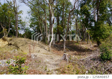 富雄丸山古墳・2，3号墳 125640857