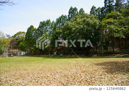 富雄丸山古墳:市民の憩いの公園 富雄丸山古墳:市民の憩いの公園 125640862