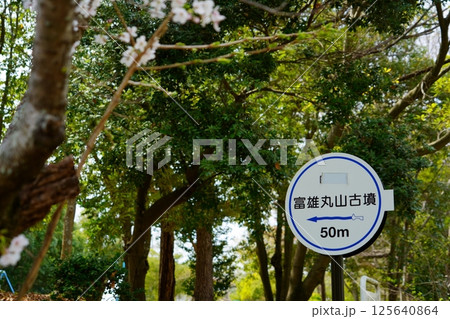 富雄丸山古墳：案内標識 125640864