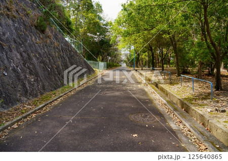 富雄丸山古墳：周囲の公園 125640865