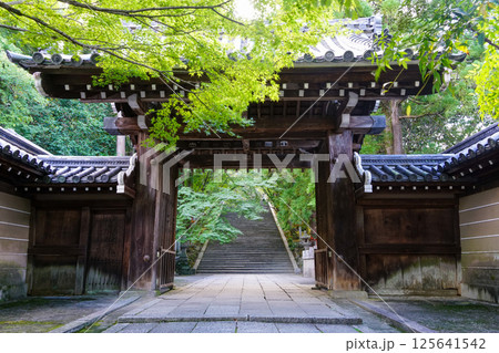 京都嵐山の寺院の門 125641542