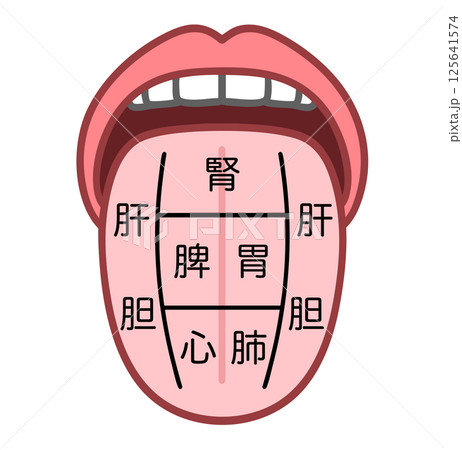 東洋医学の舌診イラスト、舌でわかる臓器の健康状態のイラスト素材 [125641574] - PIXTA