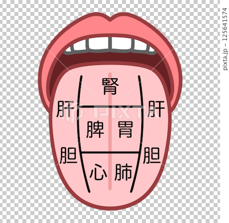 Oriental medicine tongue diagnosis illustration: how the tongue can tell you the health of your organs Oriental medicine tongue diagnosis illustration: how the tongue can tell you the health of your organs 125641574