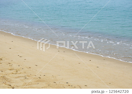 天橋立　美しい海（京都府宮津市） 125642720