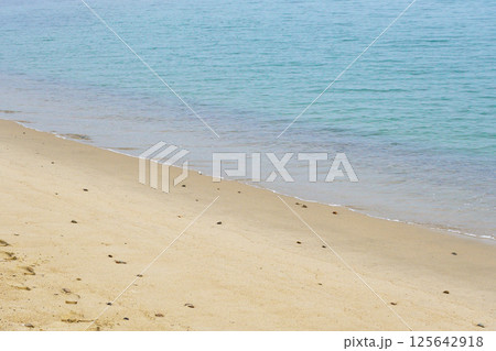 天橋立　美しい海（京都府宮津市） 125642918