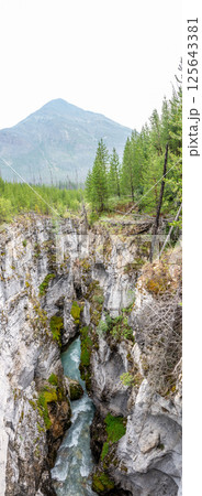 Vertical panoramic view down the Marble Canyon Trail along the Tokumm Creek in the Kootenay National Park Vertical panoramic view down the Marble Canyon Trail along the Tokumm Creek in the Kootenay National Park 125643381
