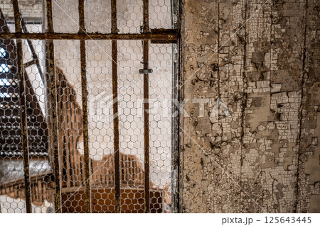 Closed barred doors with chipped paint of Eastern State Penitentiary historic site with wire mesh Closed barred doors with chipped paint of Eastern State Penitentiary historic site with wire mesh 125643445