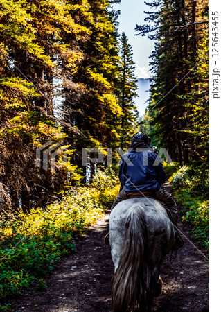 Line of tourists riding horses into the wilderness at Banff National Park, Canada Line of tourists riding horses into the wilderness at Banff National Park, Canada 125643455
