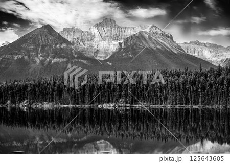 Reflection of BowCrow Peak lined with pine trees in Bow Lake, Banff National Park 125643605
