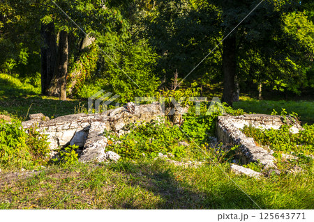 Brest Fortress castle building walls gates ruins in nature Belarus. 125643771