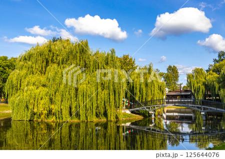 Brest City Park Belarus green nature river lake pond bridge. Brest City Park Belarus green nature river lake pond bridge. 125644076