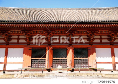 京都府 東寺・講堂(重要文化財) 京都市 南区 九条町 2022年2月 京都府 東寺・講堂(重要文化財) 京都市 南区 九条町 2022年2月 125644570