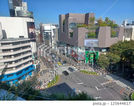 原宿の交差点 125644617