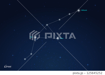 Grus Constellation with Star Names in Night Sky 125645252