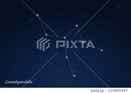 Camelopardalis Constellation with Star Names in Night Sky 125645447