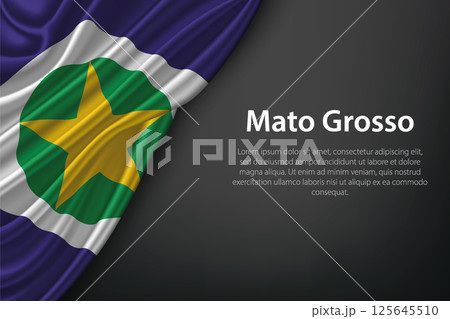Mato Grosso state flag on fabric Mato Grosso state flag on fabric 125645510