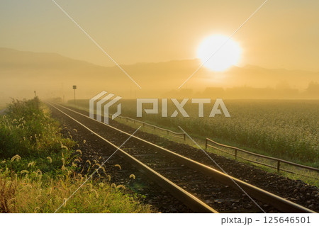 朝霧立ち込める越前田野から伸びる線路を朝陽が際立たせる 125646501