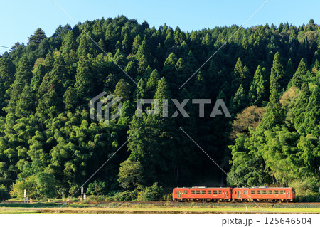 西山光照寺跡近くの第4種踏切を越美北線のオレンジ色の気動車が通過する 125646504