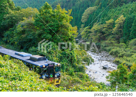 深緑の静かな渓谷を走る播但線うみやまむすび 125646540