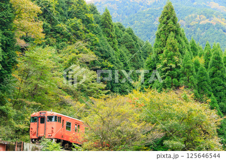 下市川橋梁を渡ろうと森の中から顔を出す播但線の気動車 下市川橋梁を渡ろうと森の中から顔を出す播但線の気動車 125646544