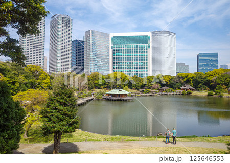 東京都・浜離宮恩賜庭園の茶屋と汐留のビル群を望む 東京都・浜離宮恩賜庭園の茶屋と汐留のビル群を望む 125646553