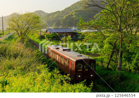 朝もやのなか朝日を浴びて若桜鉄道の始発がやって来る 朝もやのなか朝日を浴びて若桜鉄道の始発がやって来る 125646554