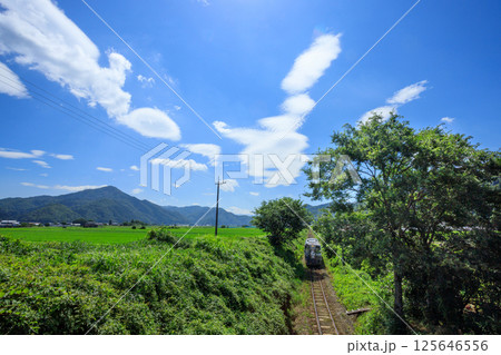 広くて青い空の下で直線を疾走する若桜鉄道の気動車 125646556
