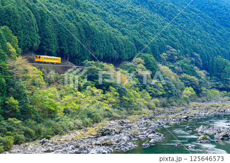 四万十川に沿って予土線の黄色い気動車が窪川を目指す 四万十川に沿って予土線の黄色い気動車が窪川を目指す 125646573