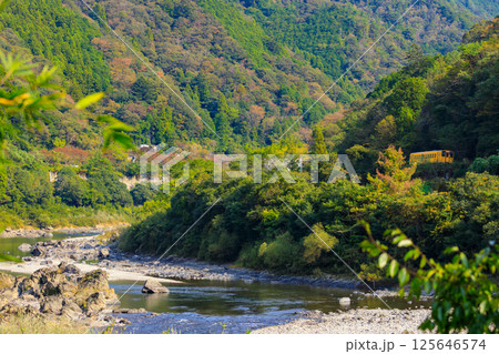 紅葉の四万十川に沿って走る予土線の黄色い気動車 紅葉の四万十川に沿って走る予土線の黄色い気動車 125646574